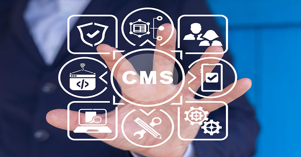 Page-Agence-de-Dev-Web-Developpement-et-parametrage-CMS